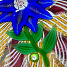 Signed Paul Ysart Glass Art Paperweight Flamework Aventurine and Blue Petaled Clematis on a Colorful Filigree Crown Cushion