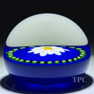 Rare Joyce Manson 2002 Glass Art Paperweight White Daisy with Millefiori Garland on Blue