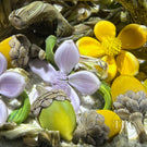 Gordon Smith 2025 Glass Art Paperweight Naturalistic Flamework Corn Snake with Perennials and Acorns