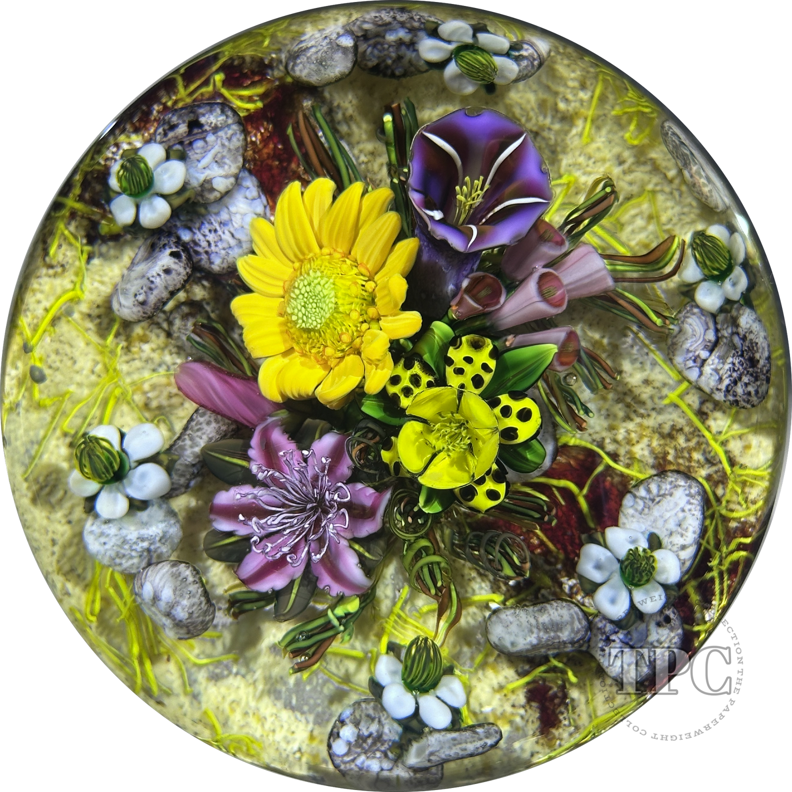 Ken Rosenfeld 2025 Glass Art Paperweight Naturalistic Flamework Wild Flowers on Sand Ground
