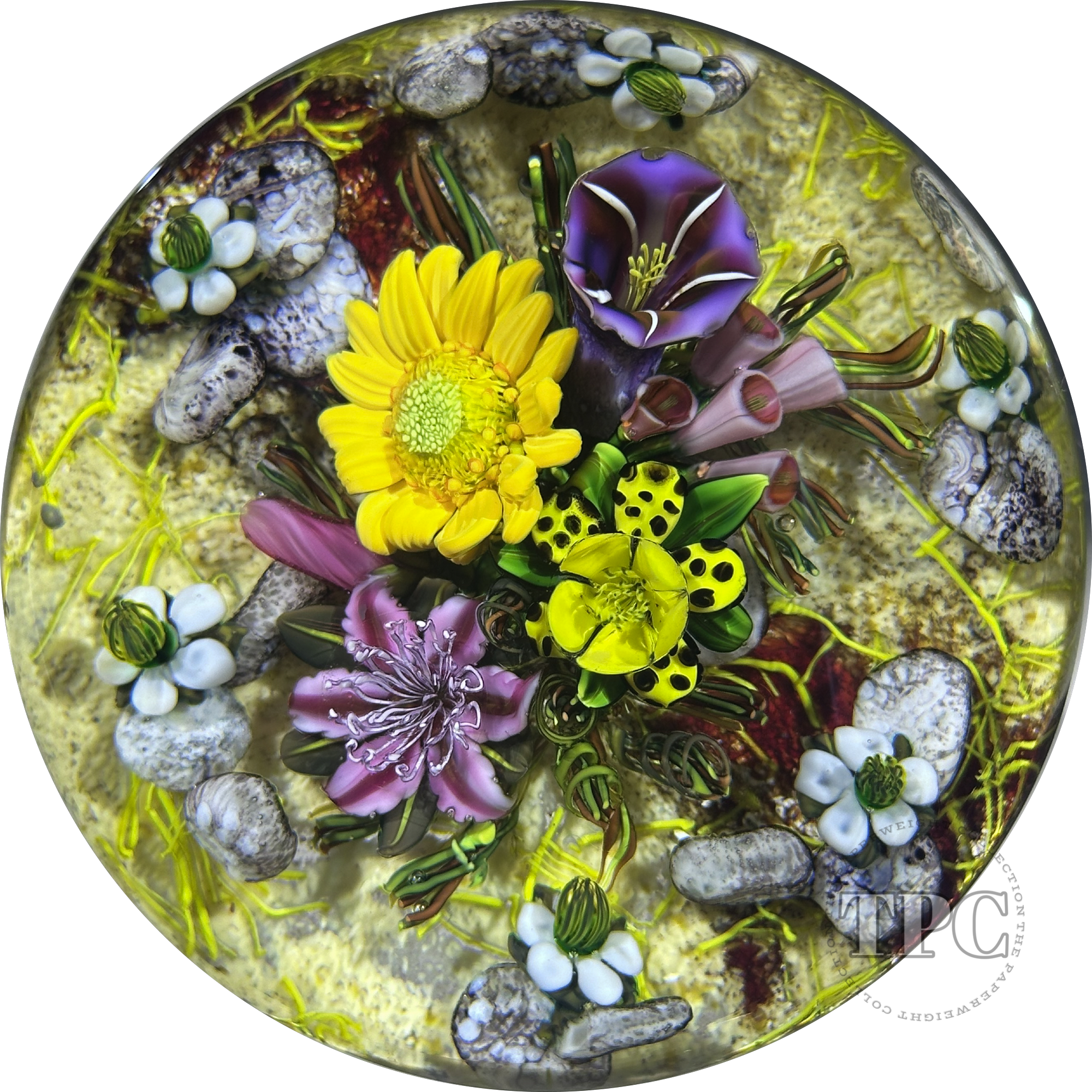Ken Rosenfeld 2025 Glass Art Paperweight Naturalistic Flamework Wild Flowers on Sand Ground