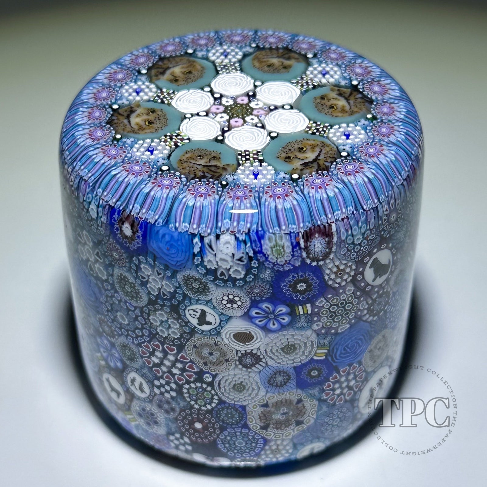 Michael Hunter 2025 Glass Art Paperweight Cylinder Owl Closepack