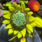 Ken Rosenfeld 2025 Glass Art Paperweight Double-Sided Flamework Flower Bouquet