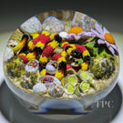 Gordon Smith 2024 Glass Art Paperweight Flamework Coral Snake with Eggs Daisies & Lichen Covered Rocks