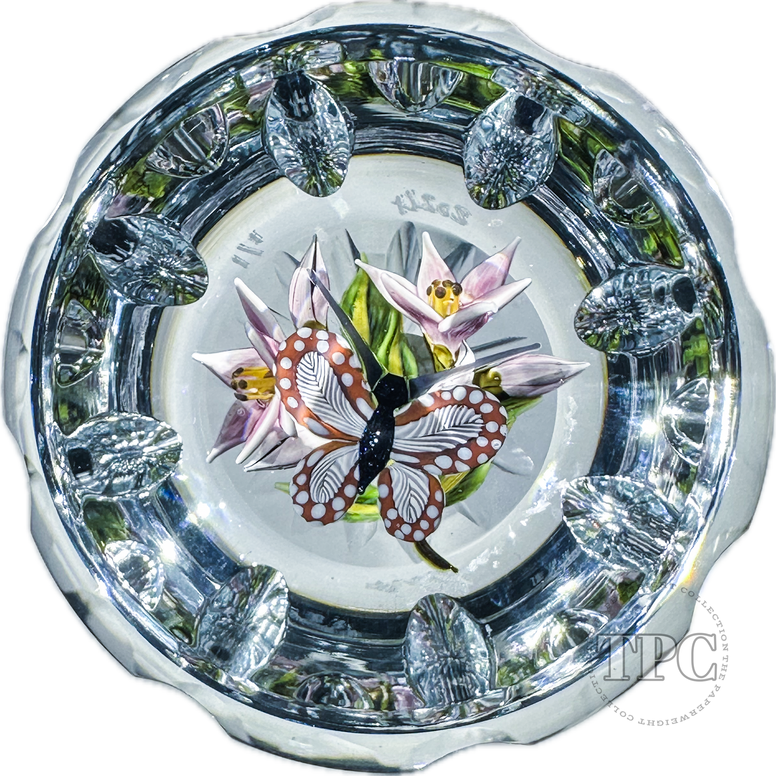 William Manson 2024 Art Glass Paperweight Compound Flamework Butterfly with Pink Flowers 1 of 1