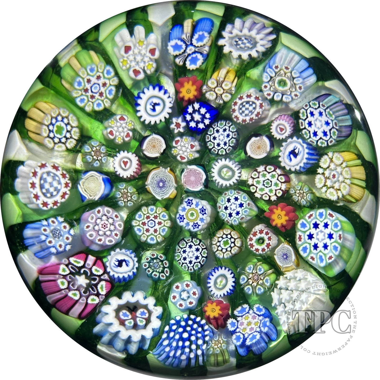 John Deacons Glass Art Paperweight Closepack Complex Millefiori with Silhouettes on Radial Green & White Cushion