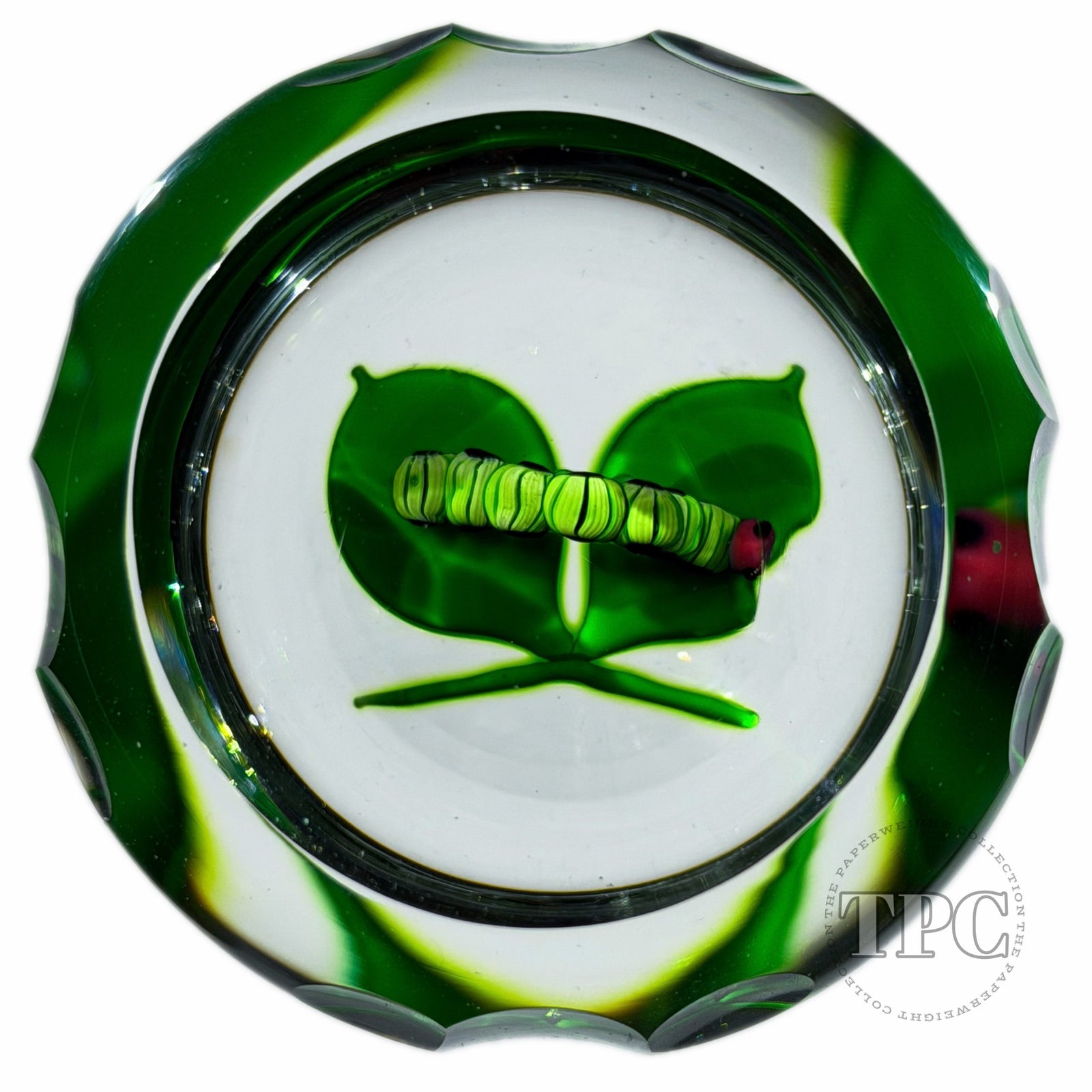 Perthshire 1984 Glass Art Paperweight Flamework Millefiori Caterpillar on Green Leaves