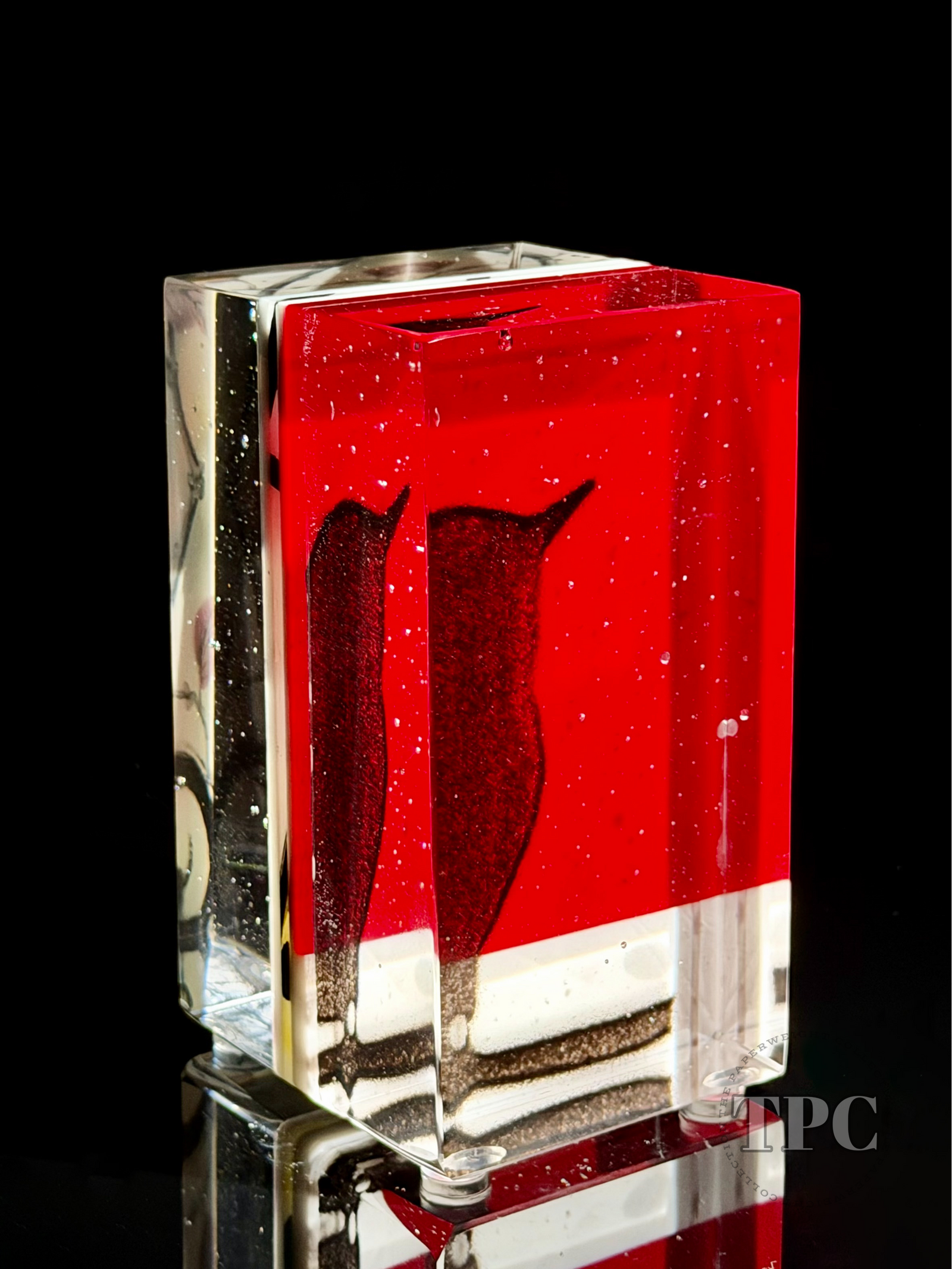 Damon MacNaught 2025 "Dualities #3" Glass Art Sculpture Slip Transfer Decorated & Coldworked