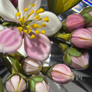 Gordon Smith 2025 Glass Art Paperweight Pink & White Apple Blossoms