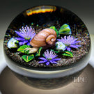 Ken Rosenfeld 2021 Glass Art Paperweight Flamework Snail with Purple Flowers and Clichy Roses