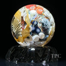 Jared DeLong 2023 Glass Art Marble Pacific Coast Tide Pool Series with Bioluminescent Barnacles & Flamework Kelp