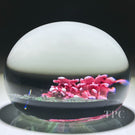 William Manson 2025 Glass Art Paperweight Flamework Pink Lilac 1-of-1