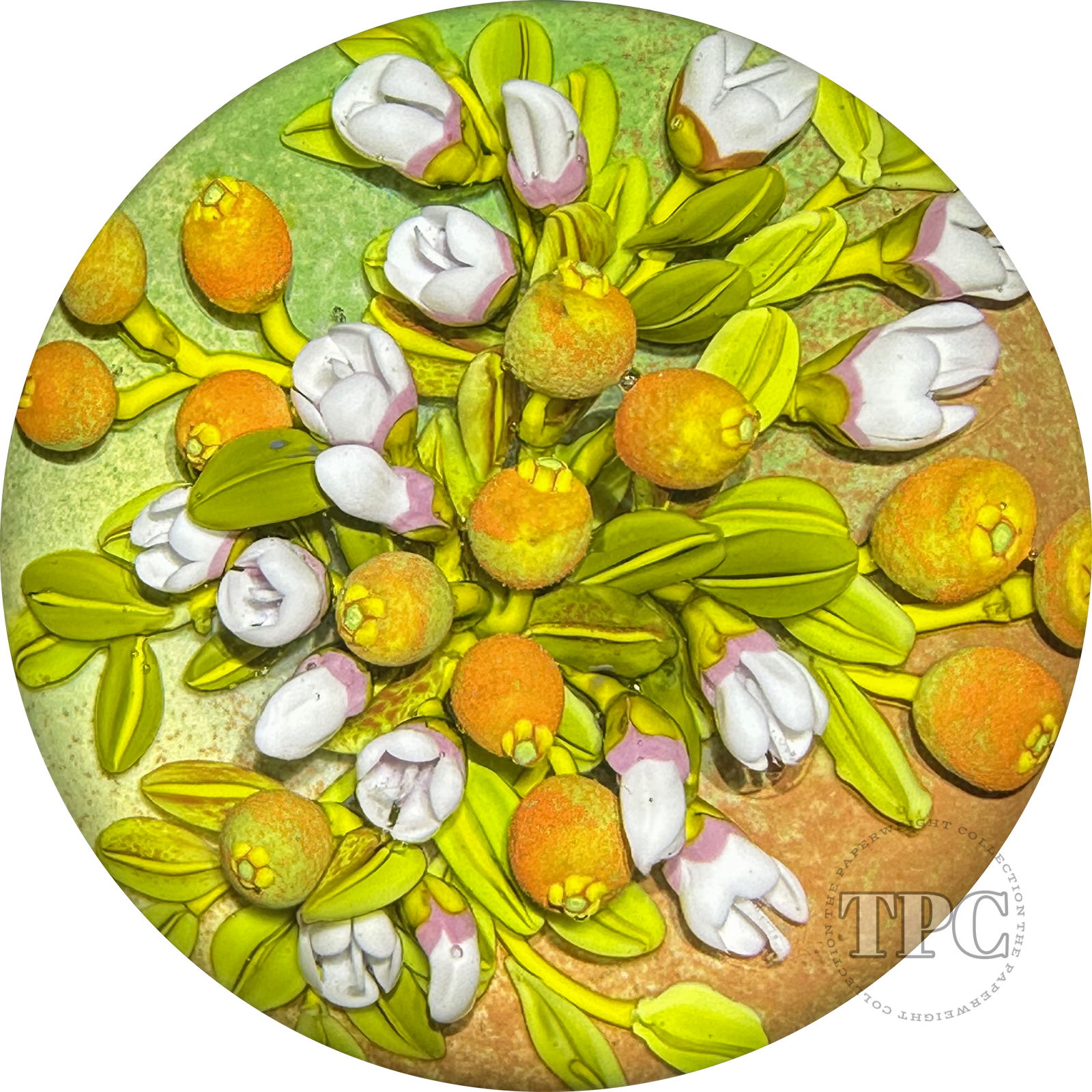 Cathy Richardson 2024 Glass Art Paperweight Flamework Citrus Bouquet 1 of 1