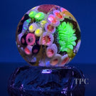 Jared DeLong 2023 Glass Art Marble Pacific Coast Tide Pool Series with Bioluminescent Barnacles & Flamework Kelp