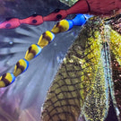 Gordon Smith 2024 Glass Art Paperweight Flamework Dragonfly Over Star-Cut Fuchsia Colored Ground