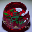 Perthshire 1986 Glass Art Paperweight Flamework White Rose for the Royal Wedding