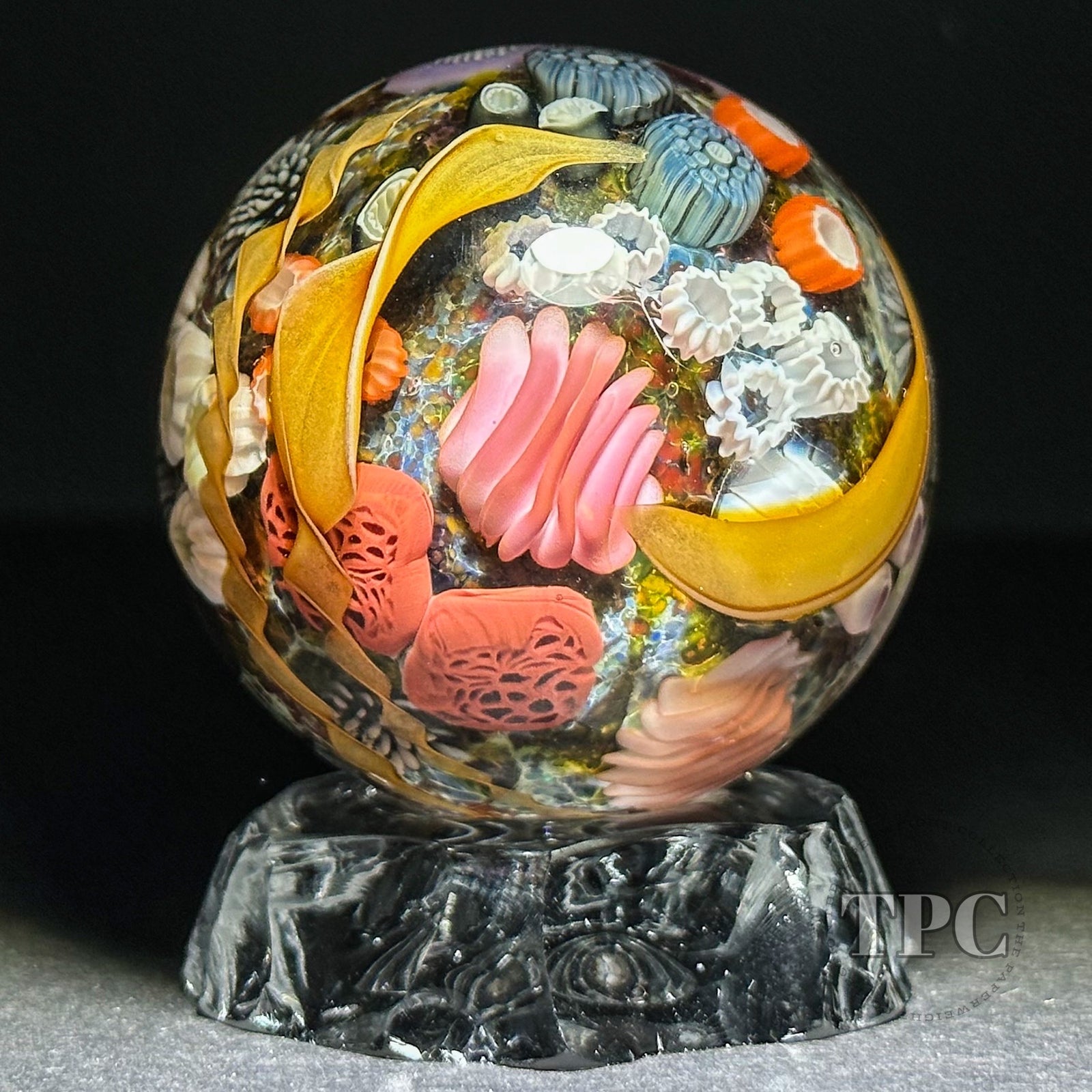 Jared DeLong 2023 Glass Art Marble Pacific Coast Tide Pool Series with Bioluminescent Barnacles & Flamework Kelp