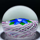 John Deacons Glass Art Paperweight Flamework Clematis Flower on Pink & White Pinwheel Crown