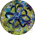 William Manson 2025 Glass Art Paperweight Flamework Blue Octopus on Seabed 1-of-1