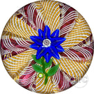 Signed Paul Ysart Glass Art Paperweight Flamework Aventurine and Blue Petaled Clematis on a Colorful Filigree Crown Cushion