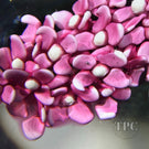 William Manson 2025 Glass Art Paperweight Flamework Pink Lilac 1-of-1