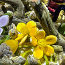 Gordon Smith 2025 Glass Art Paperweight Naturalistic Flamework Corn Snake with Perennials and Acorns