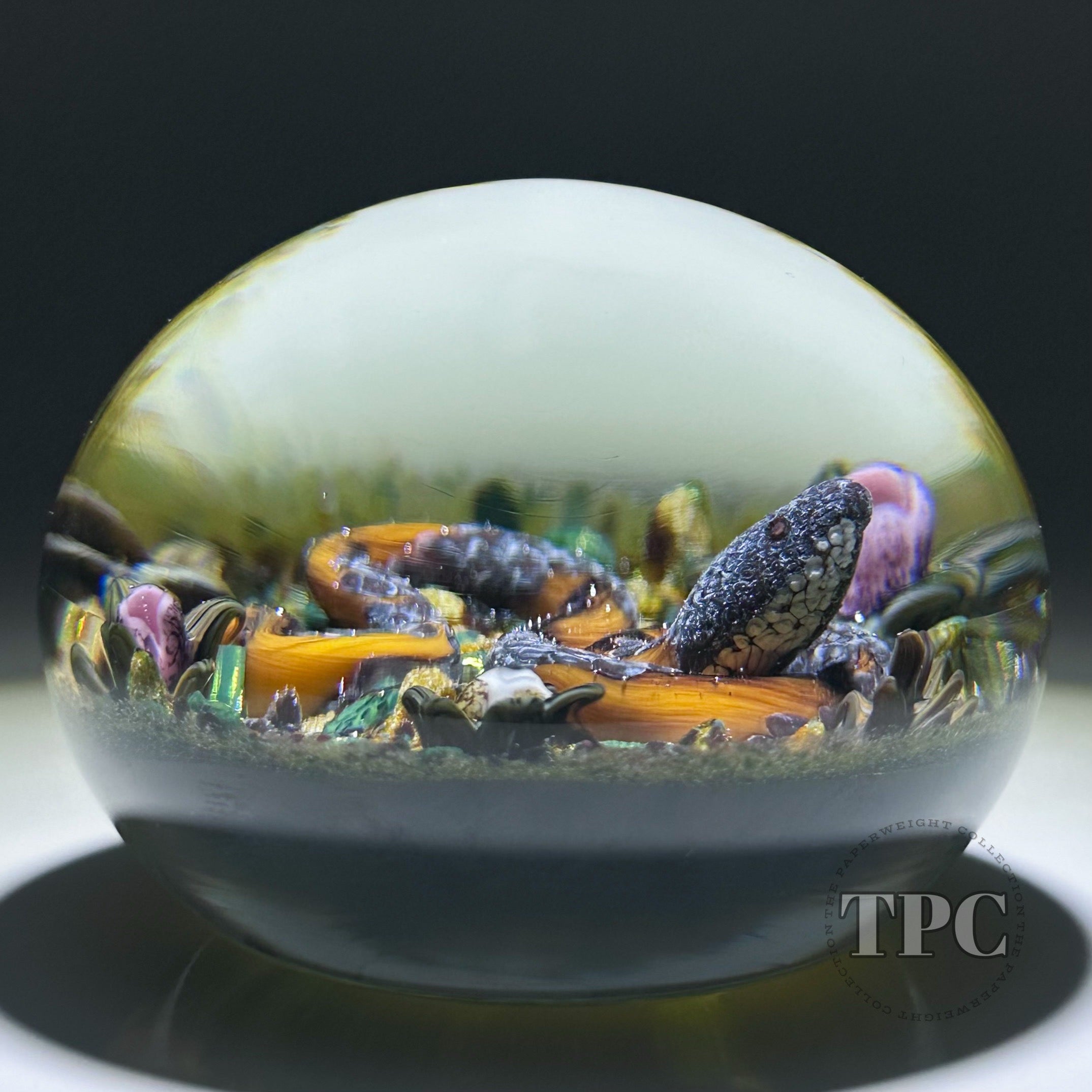 メリー ジェーン ワトソン　プロモfoil William Manson 2025 Glass Art Paperweight Flamework Pink