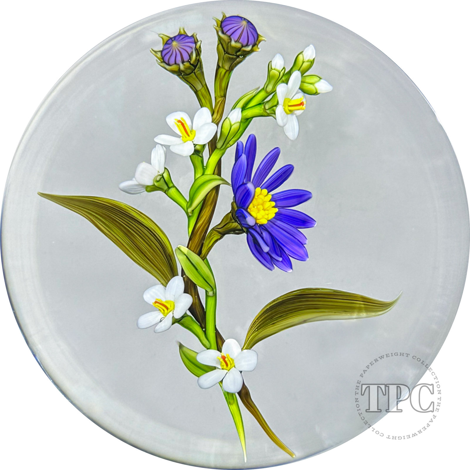 Chris Buzzini 1997 Glass Art Paperweight Flamework Interwoven Flower Bouquet 1 of 1