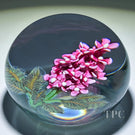 William Manson 2025 Glass Art Paperweight Flamework Pink Lilac 1-of-1