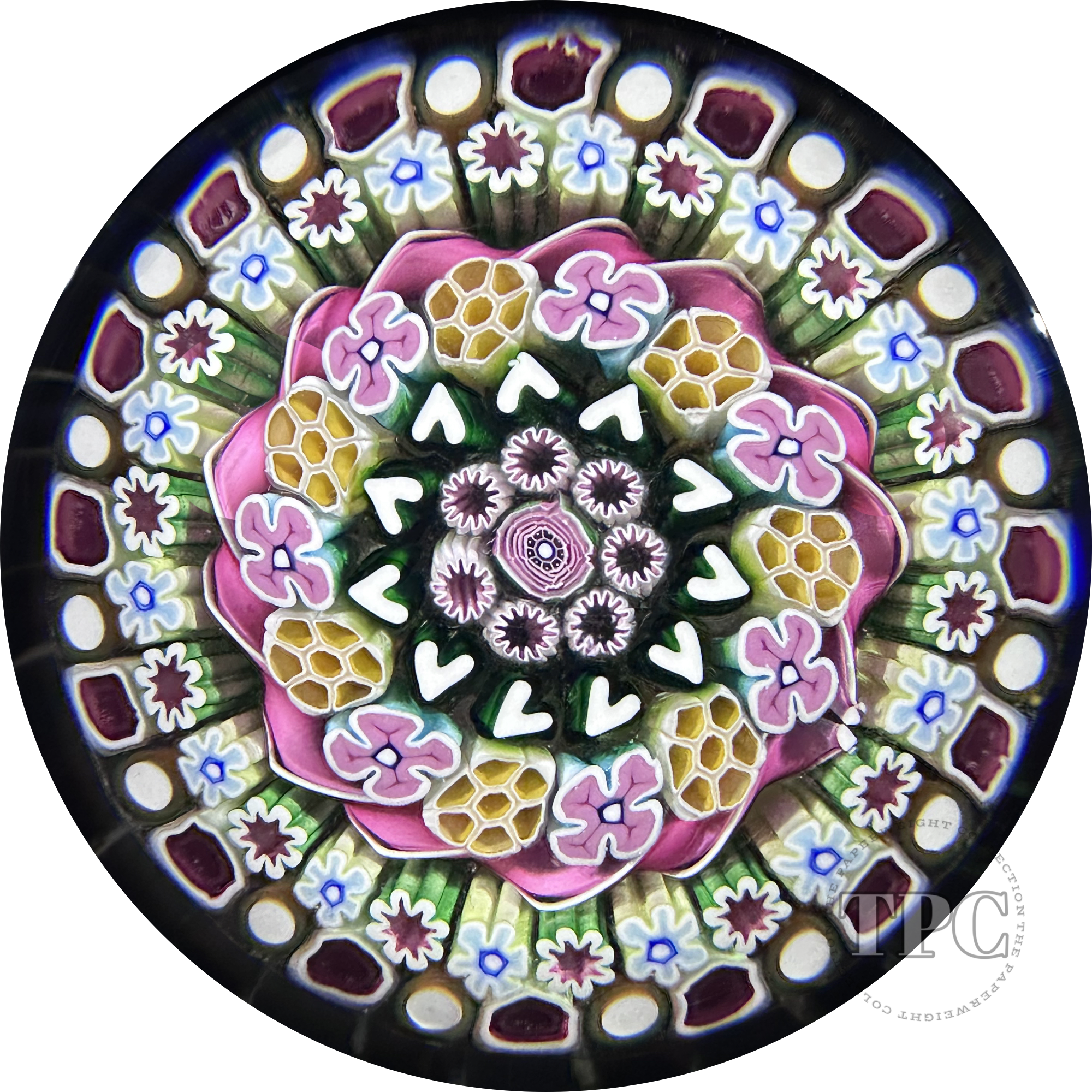 Damon MacNaught 2024 Magnum Glass Art Paperweight Complex Concentric Millefiori w/ Pink Torsade