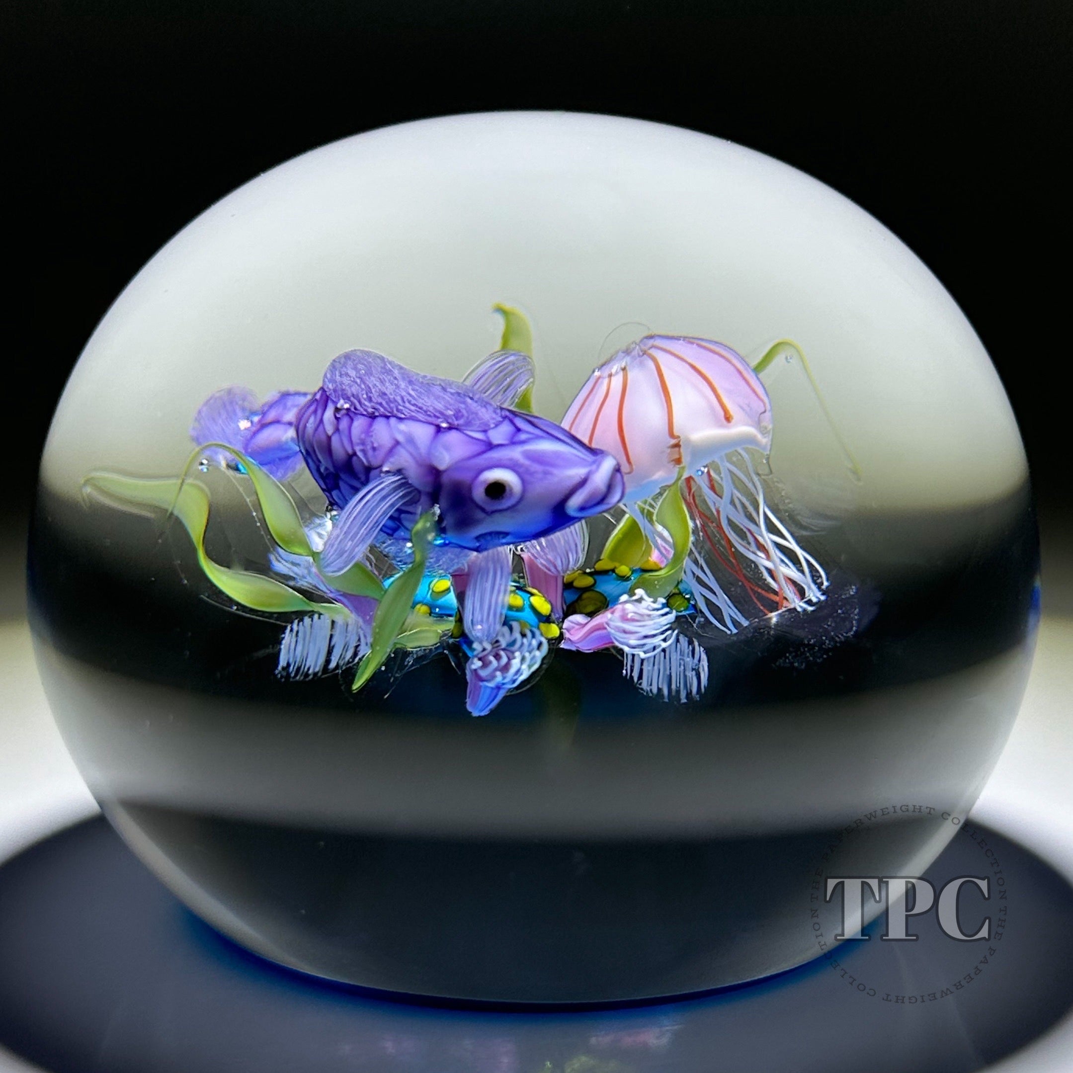 Ken Rosenfeld 2022 Glass Art Paperweight Flamework Fish with Coral and
