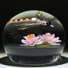 Gordon Smith 2026 Glass Art Paperweight Flamework Dragonfly Over Pink Lotus Pond