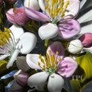 Gordon Smith 2025 Glass Art Paperweight Pink & White Apple Blossoms