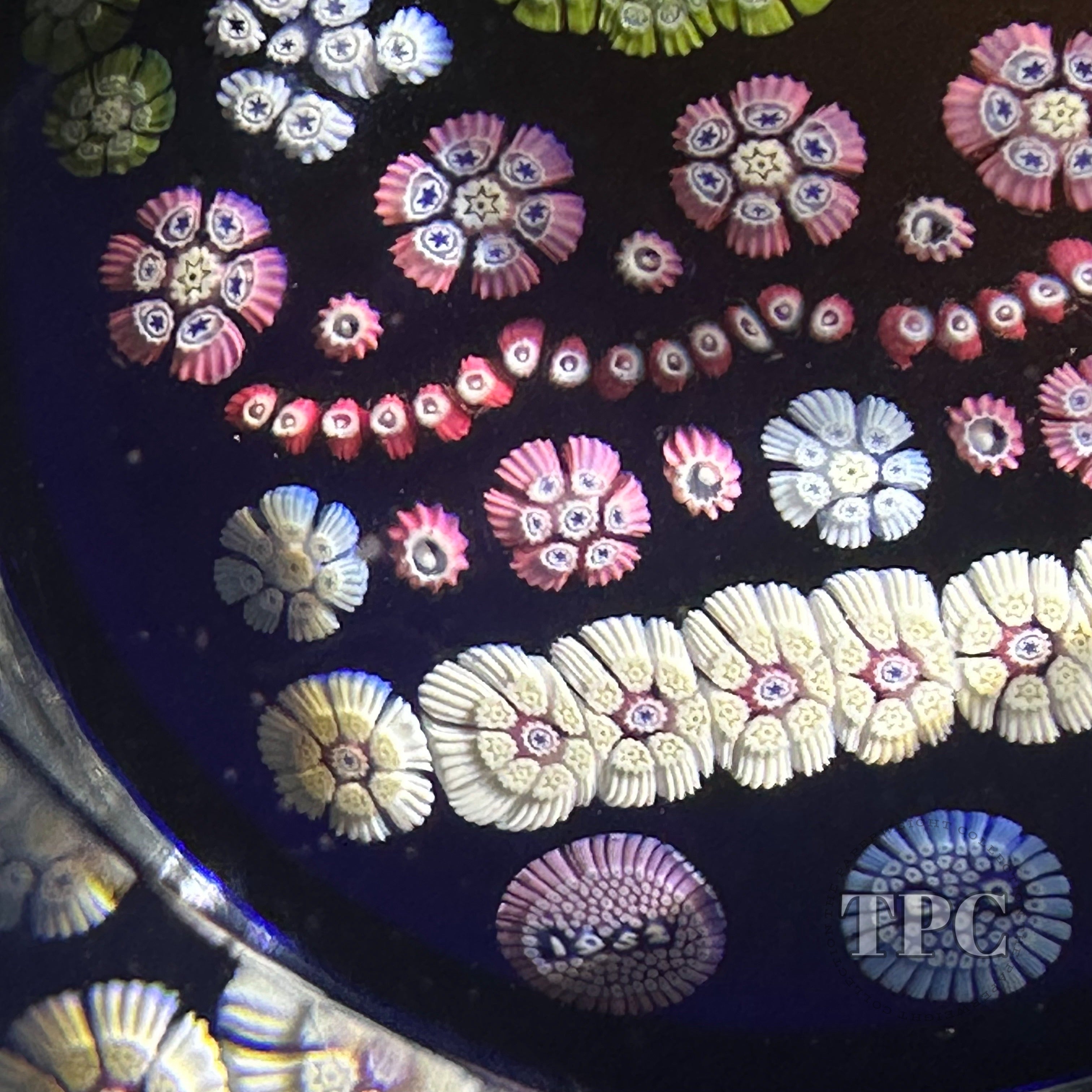 マルコリン・アート・クリスタル 貝殻 M177 Whitefriars 1977 Glass Art Paperweight Queen's Silver