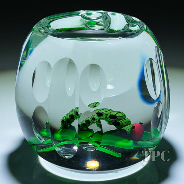 Perthshire 1984 Glass Art Paperweight Flamework Millefiori Caterpillar