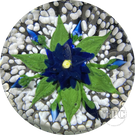 Vintage Harold Hacker Glass Art Paperweight Flamework Blue Dahlia on Mottled White