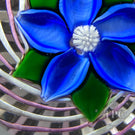 John Deacons Glass Art Paperweight Flamework Clematis Flower on Pink & White Pinwheel Crown