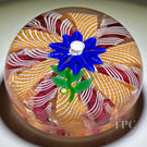 Signed Paul Ysart Glass Art Paperweight Flamework Aventurine and Blue Petaled Clematis on a Colorful Filigree Crown Cushion