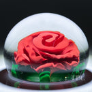 Michael Hunter 2020 Glass Art Paperweight Large Dimensional End of Cane Rose Murrine