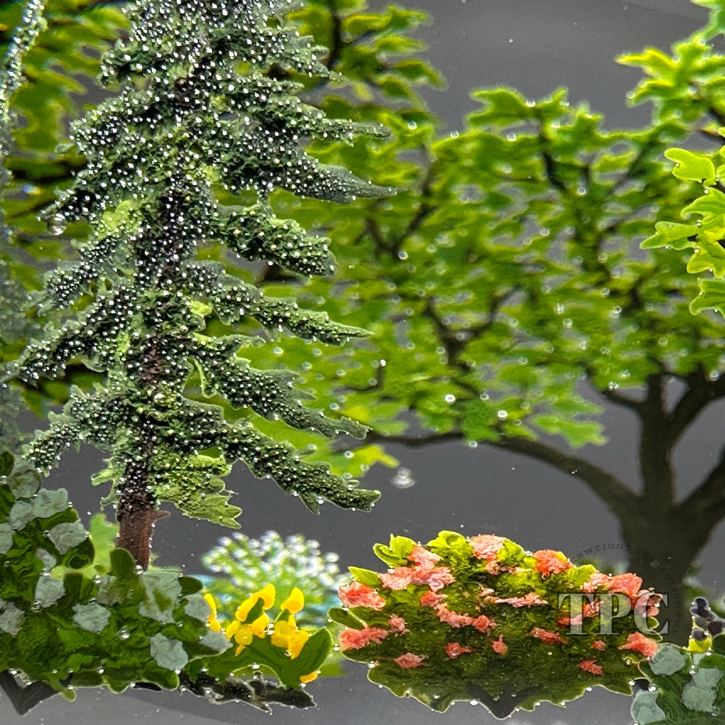 Alison Ruzsa 2024 Glass Art Sculpture Hand-Painted Enamels Lovers Fore