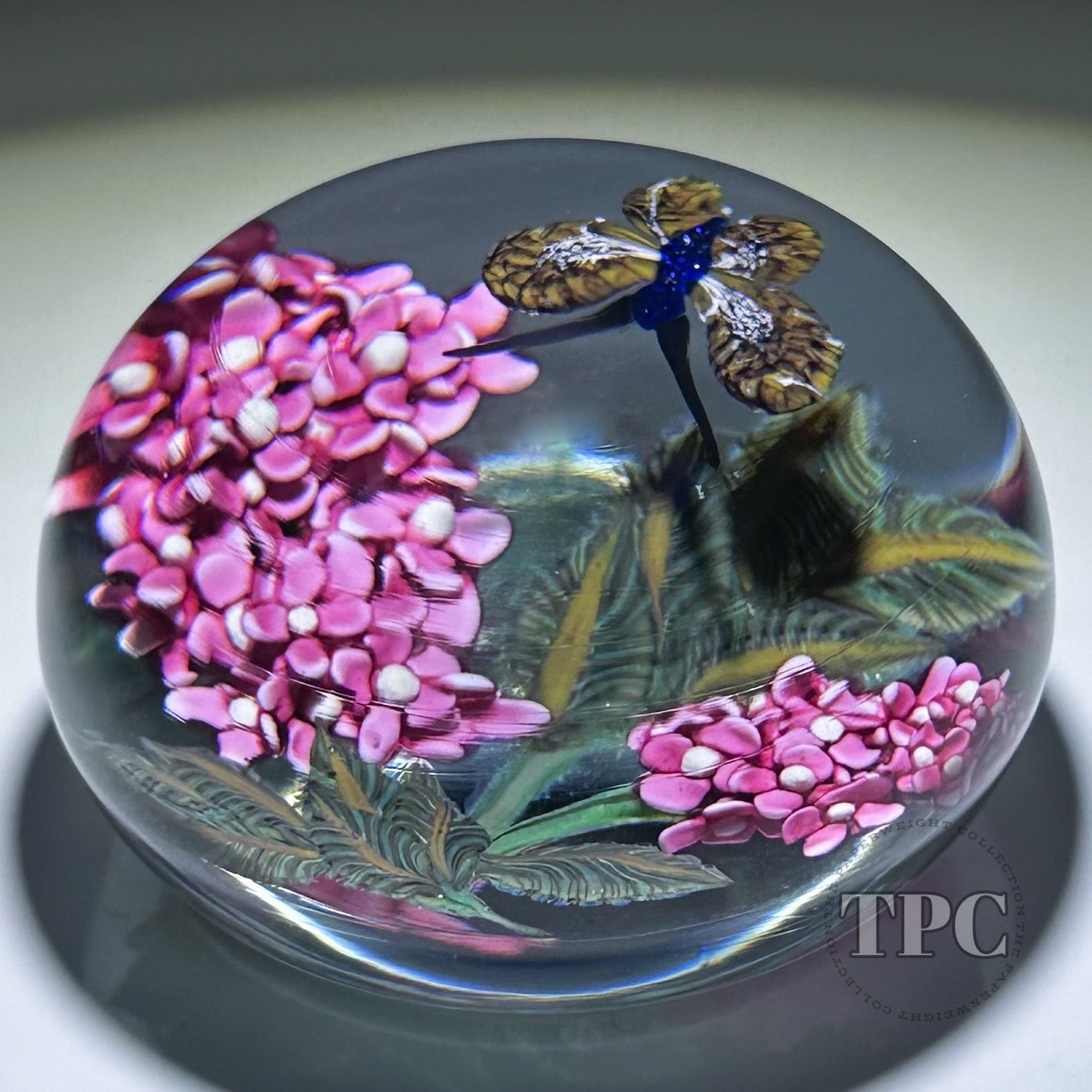 William Manson 2025 Glass Art Paperweight Flamework Pink Lilac with Bu