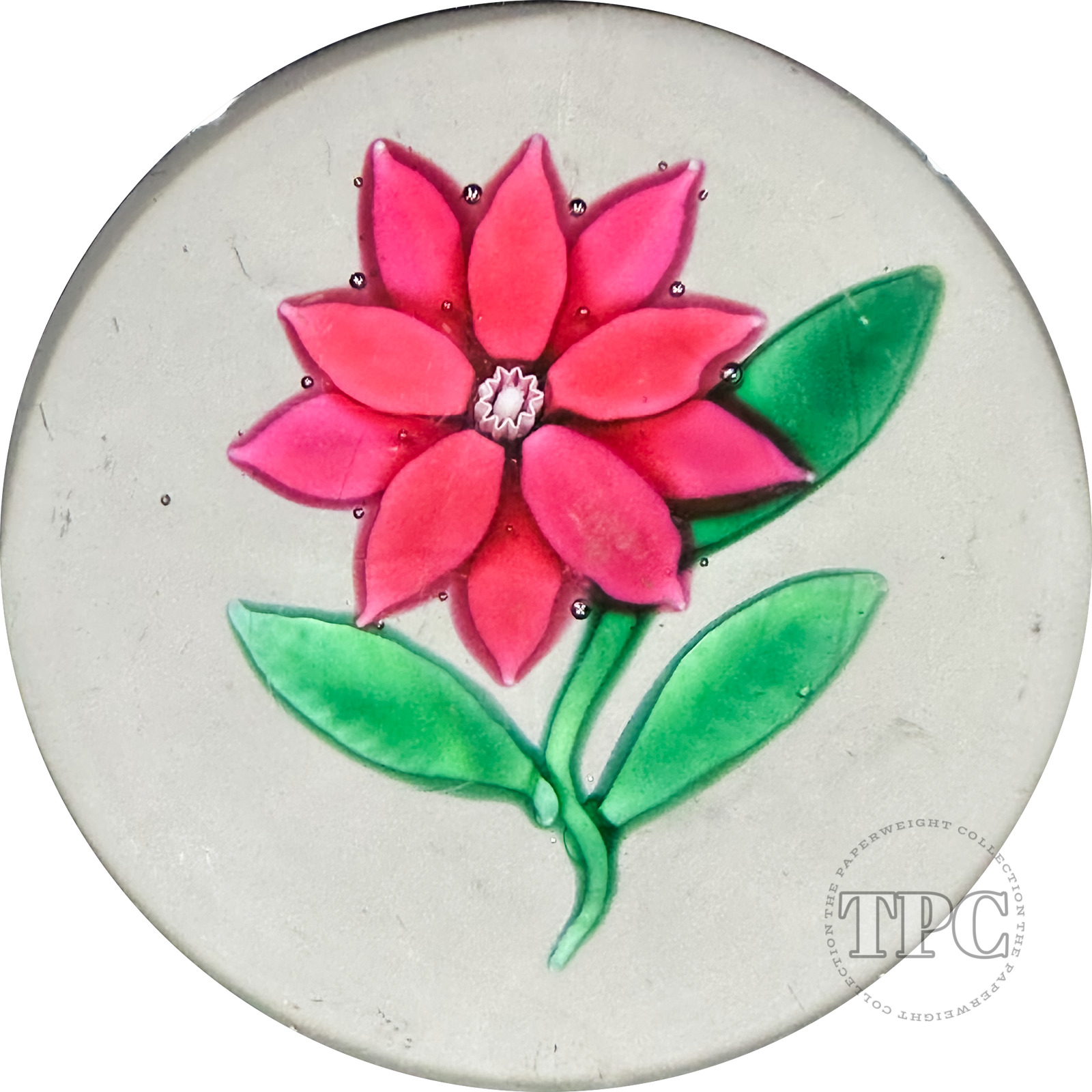 Antique New England Glass Co. (NEGC) Glass Art Paperweight Flamework Red Poinsettia