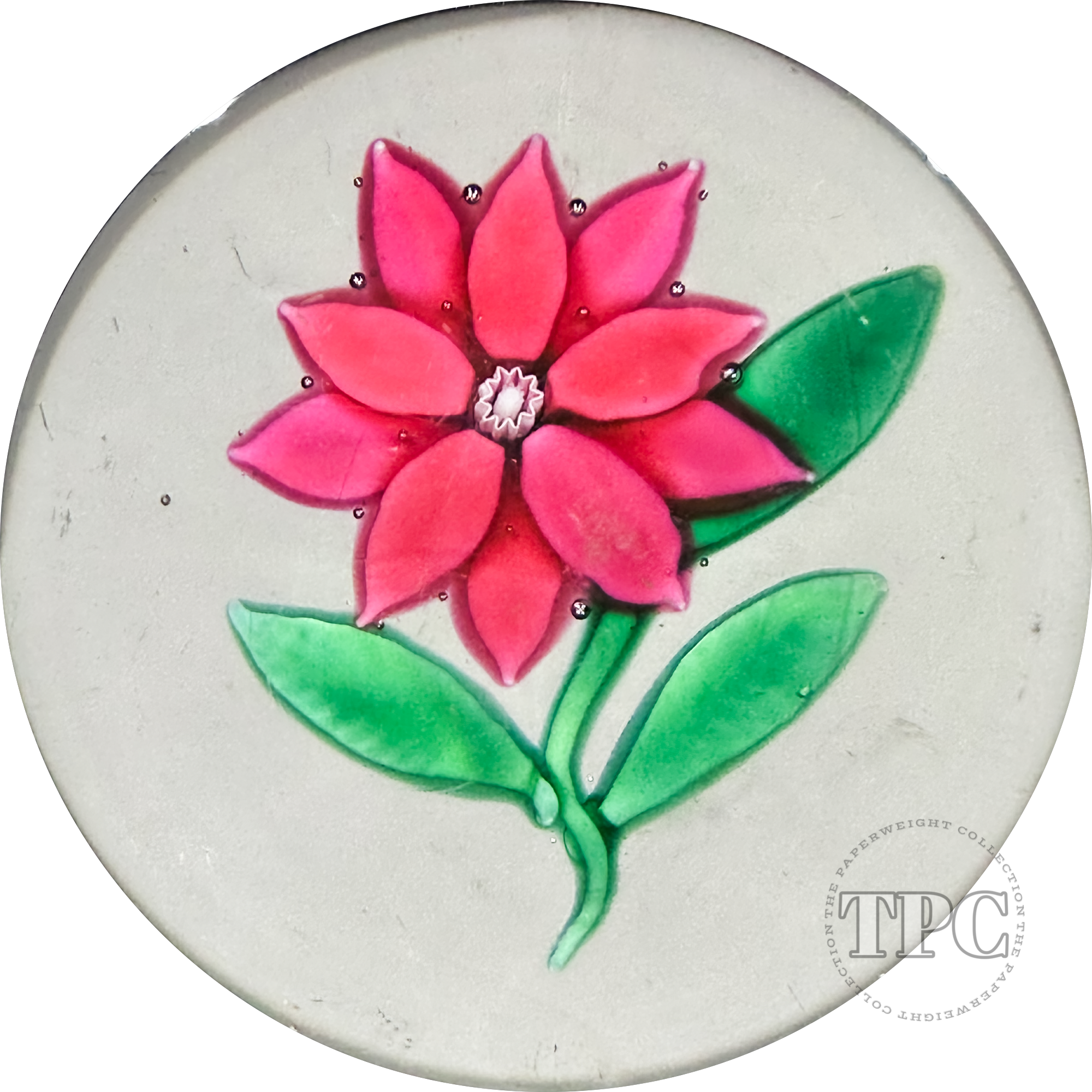 Antique New England Glass Co. (NEGC) Glass Art Paperweight Flamework Red Poinsettia
