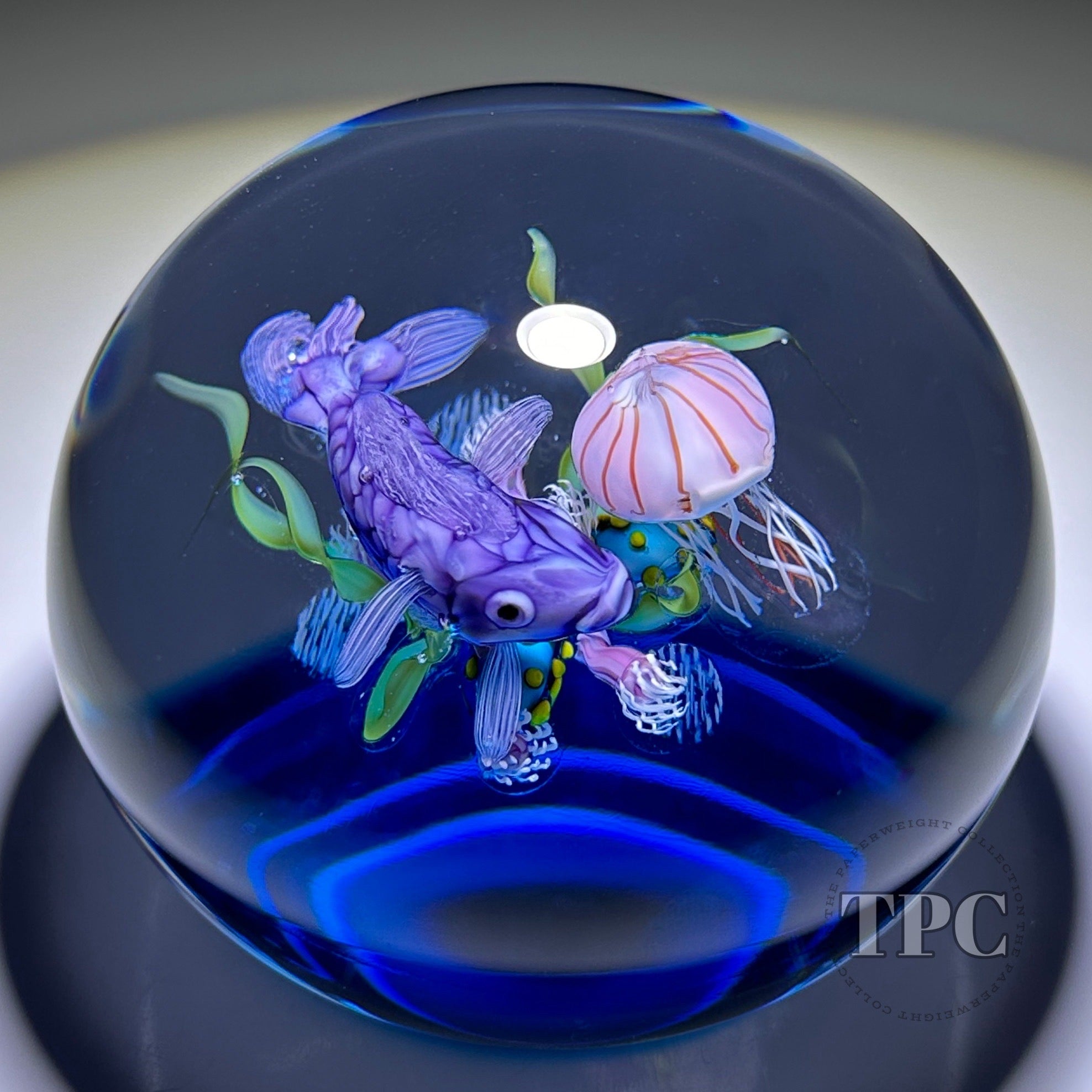 Ken Rosenfeld 2022 Glass Art Paperweight Flamework Fish with Coral and