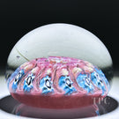 Vintage Vasart Glass Art Paperweight with Radial Millefiori & Filigree Twists on Pink