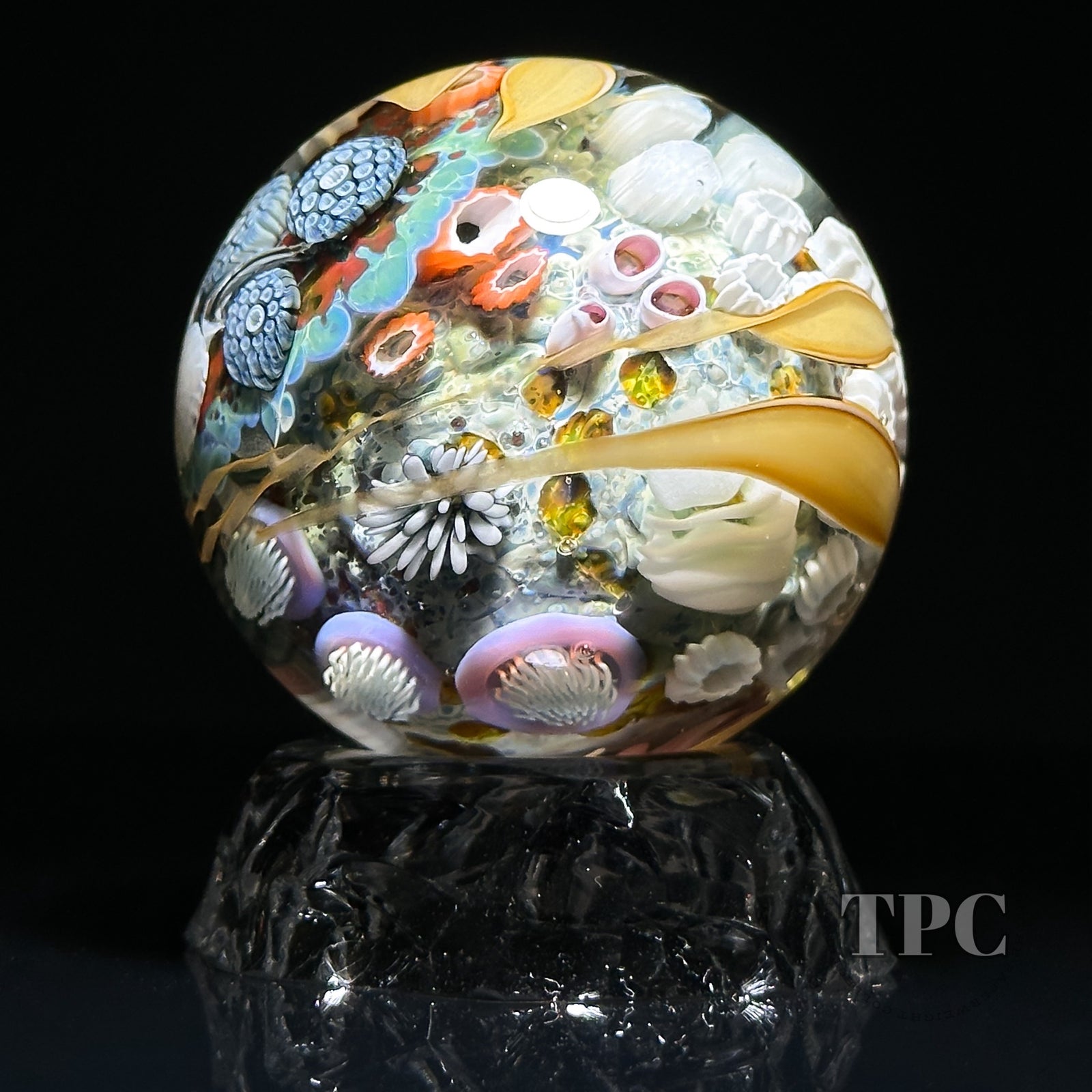 Jared DeLong 2023 Glass Art Marble Pacific Coast Tide Pool Series with Bioluminescent Barnacles & Flamework Kelp