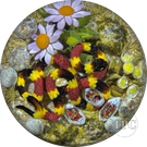 Gordon Smith 2024 Glass Art Paperweight Flamework Coral Snake with Eggs Daisies & Lichen Covered Rocks