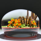 Gordon Smith 1996 Glass Art Paperweight Flamework Desert Tarantula with Flowers