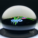 Paul Ysart Glass Art Paperweight Flamework Spring Flower Bouquet on Black Ground