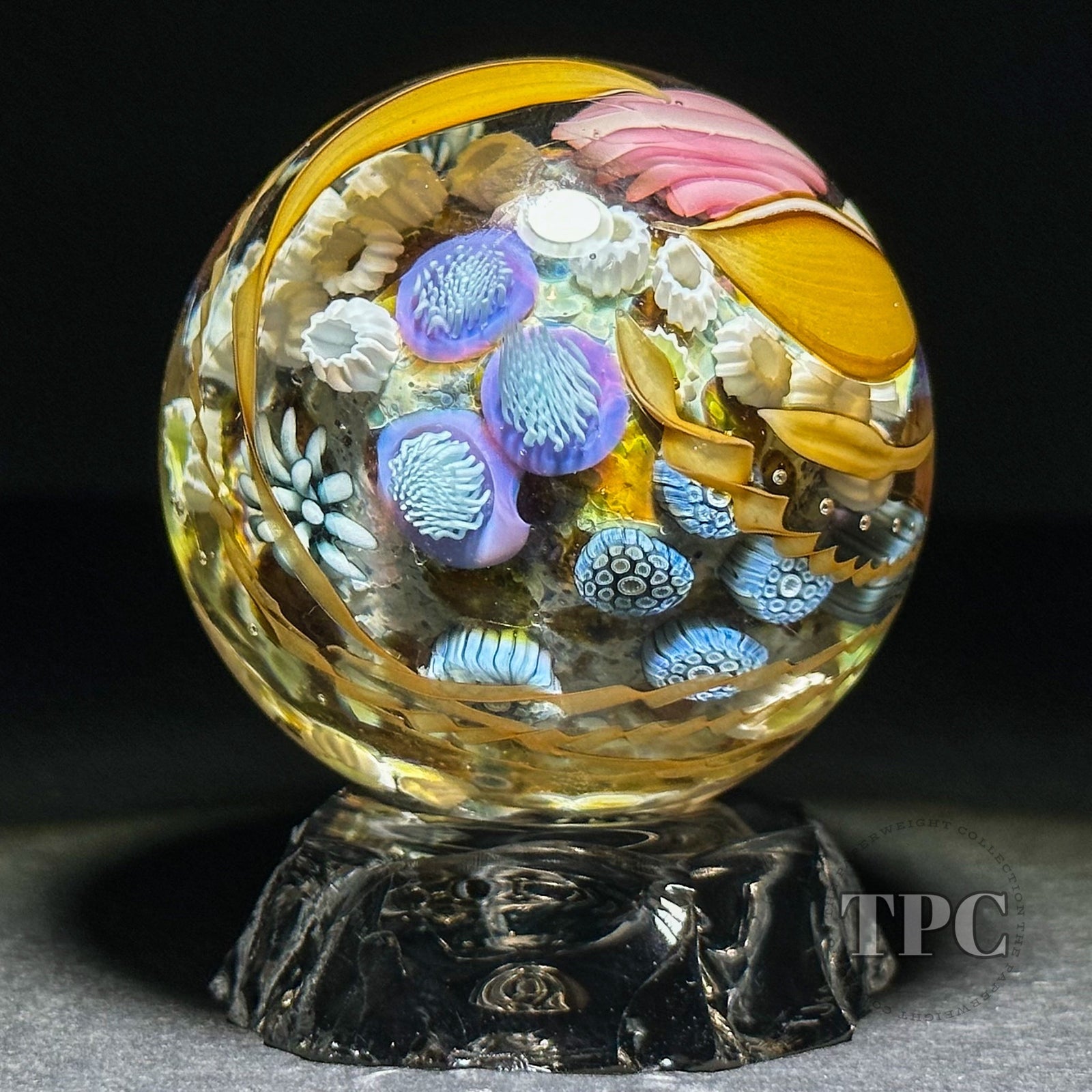 Jared DeLong 2023 Glass Art Marble Pacific Coast Tide Pool Series with Bioluminescent Barnacles & Flamework Kelp